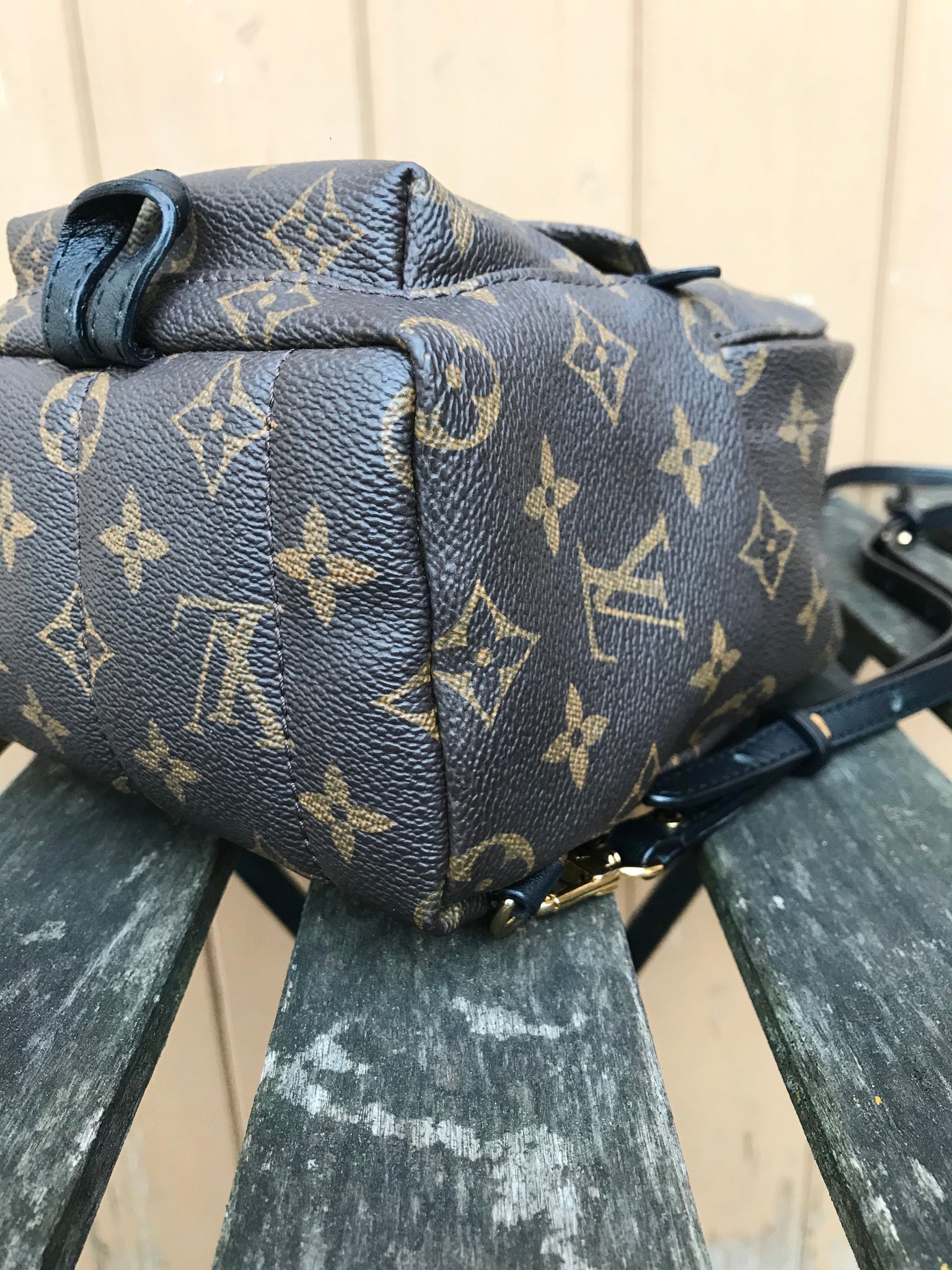 LOUIS VUITTON Monogram Palm Springs Mini Backpack – Susannah Designer  Consignment