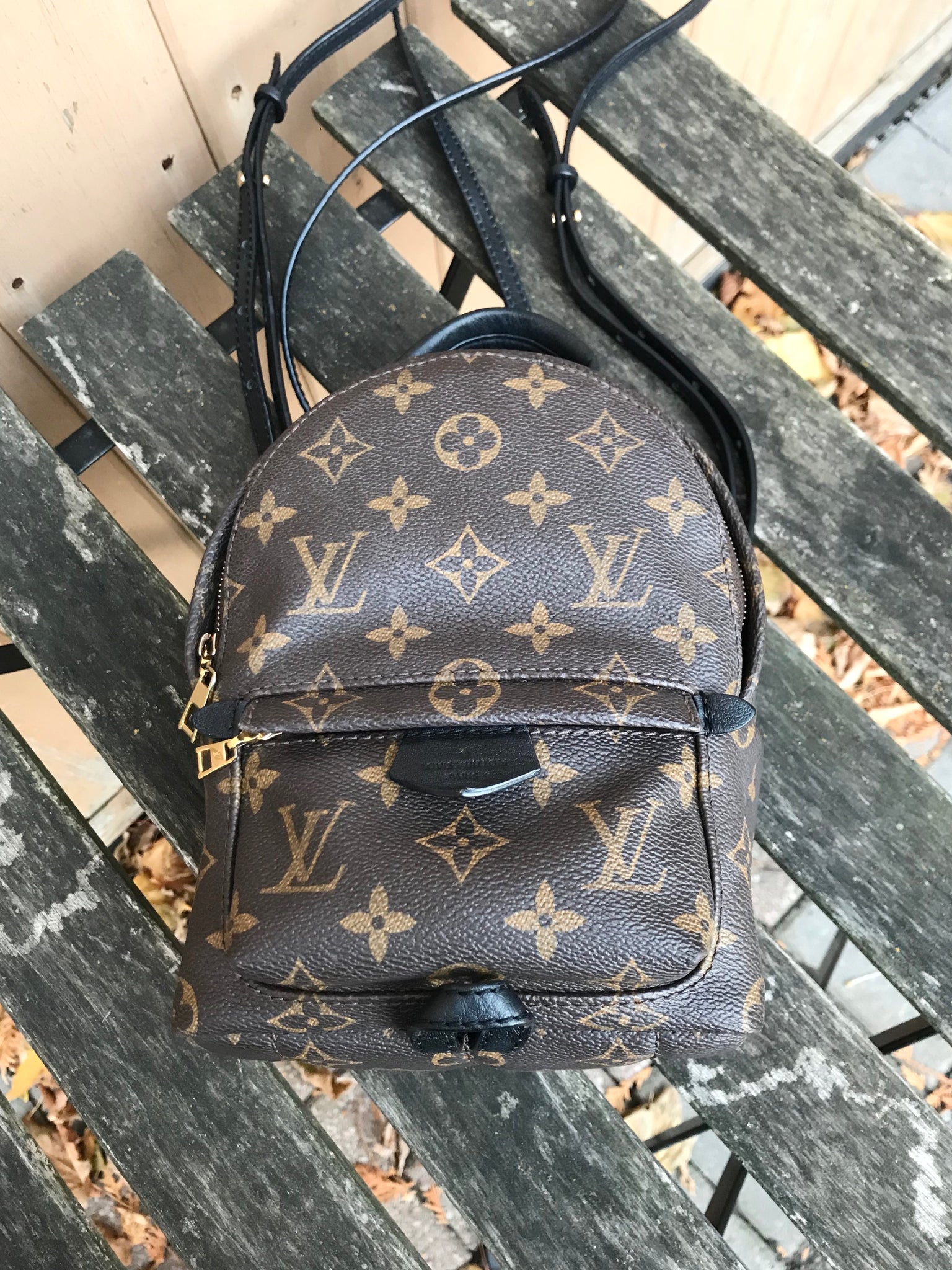 LOUIS VUITTON Monogram Palm Springs Mini Backpack – Susannah Designer  Consignment