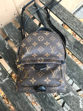 Load image into Gallery viewer, LOUIS VUITTON Monogram Palm Springs Mini Backpack
